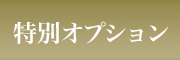 特別オプション
